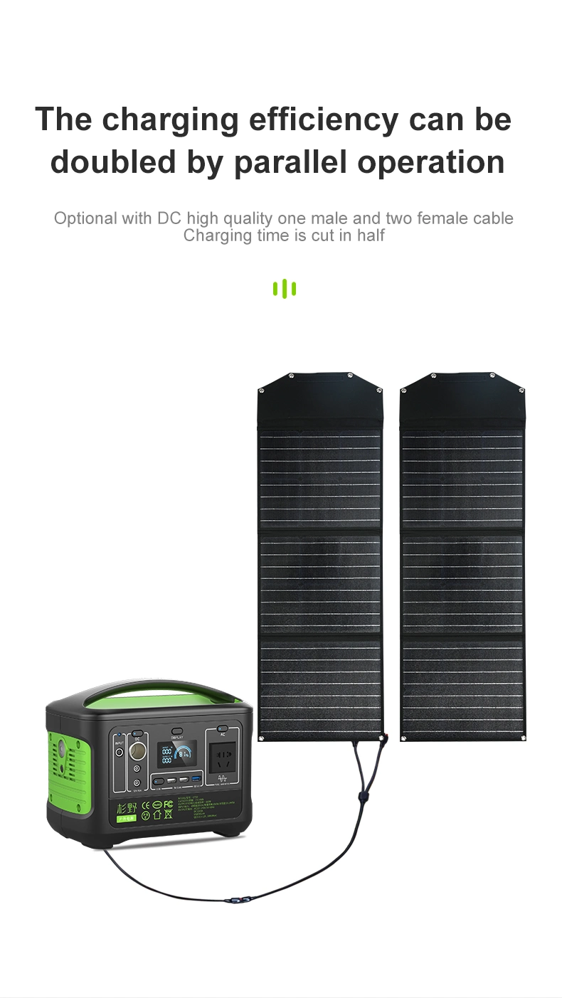 OEM 700W Outdoor Emergency Backup Mini Generator Solar Portable Power Station with Solar Panels Charger